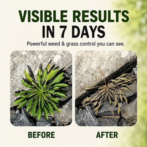 Fast-Acting Natural Weed & Grass Killer Spray